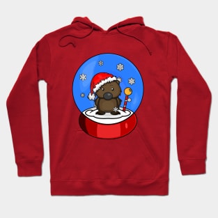 Seasons greetings Hoodie